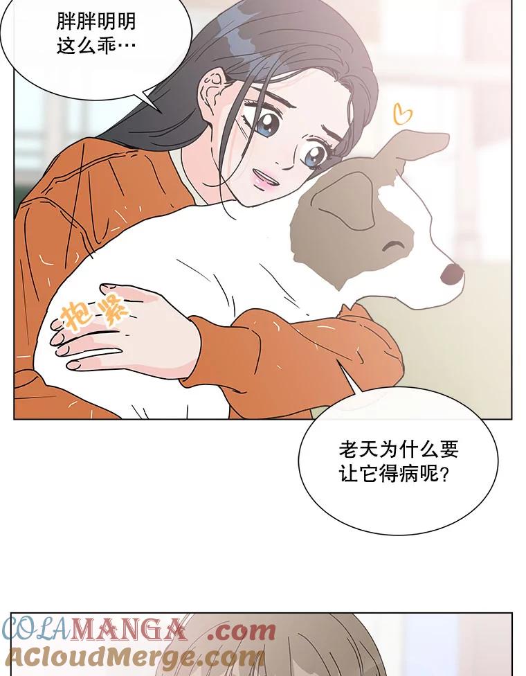 《青春之家》93.露营邀请 第40页