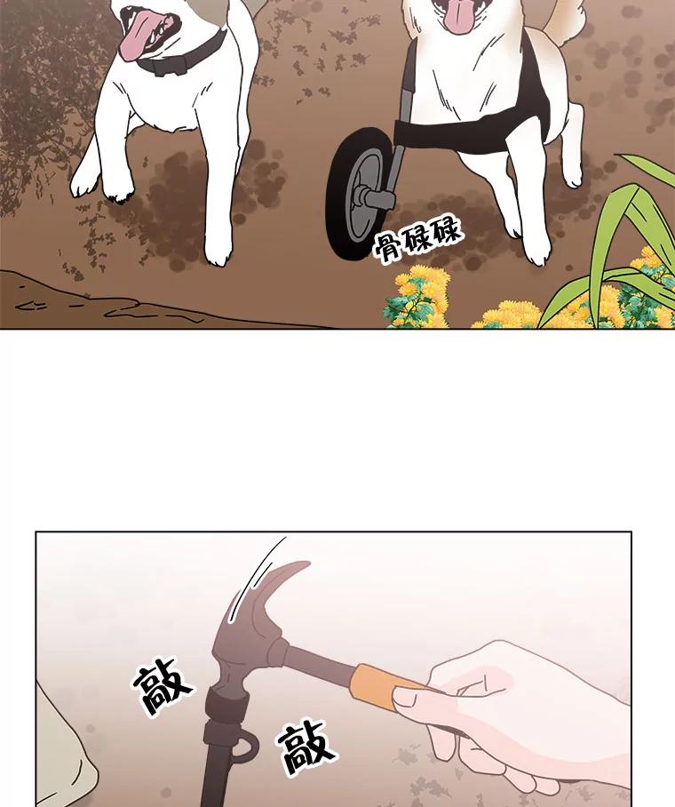 《青春之家》95.治愈系露营 第3页