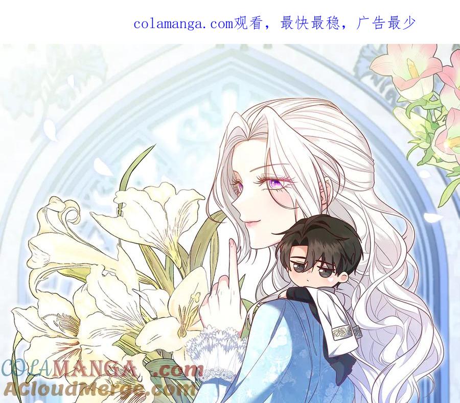 《小姐不愿意》第15话 凶悍猫咪 第1页