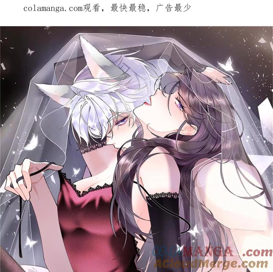 《白天被逃婚晚上被奶凶指挥官求抱》51 合适的后爸人选 第1页