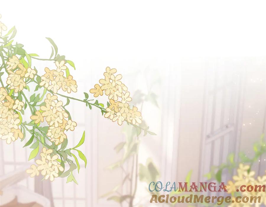 《白天被逃婚晚上被奶凶指挥官求抱抱》11 比绿茶更茶 第73页