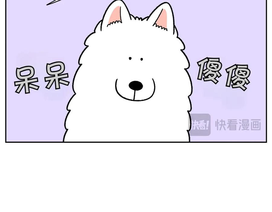 《我的狗子叫棉花》第52话 被传染猫癣 第26页