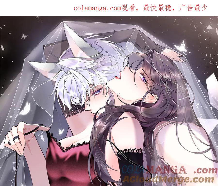 《白天被逃婚晚上被奶凶指挥官求抱抱》01 那就换个新郎 第1页