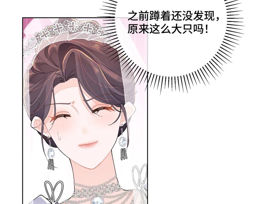 《白天被逃婚晚上被奶凶指挥官求抱抱》03 我只是按规矩办事 第24页
