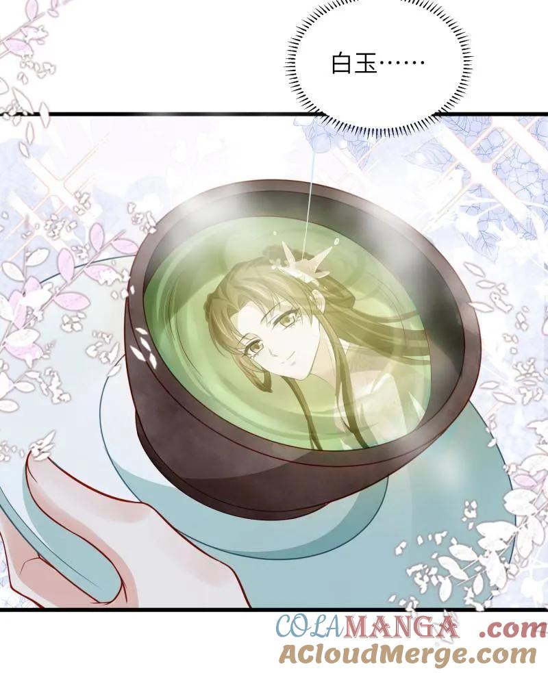 宦妃天下（太监王爷强娶我） 第441话 白玉归来 第39页