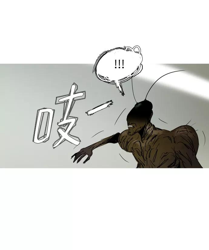 《蟑螂》第39话 第45页