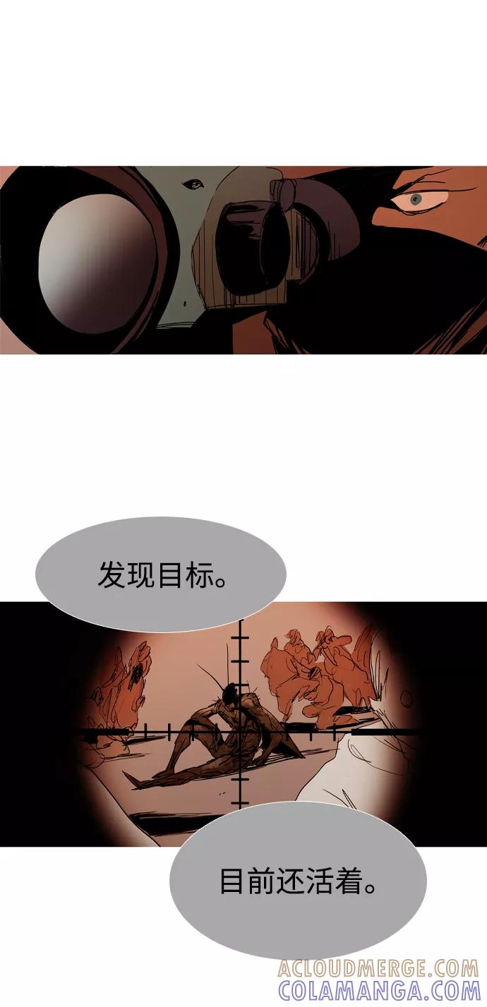 《蟑螂》第40话 第31页