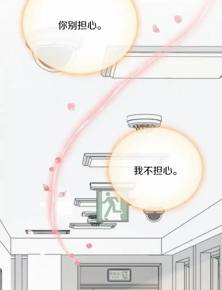 《必须同寝才可以》101.我愿意 第119页