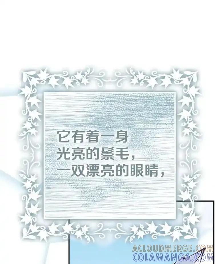 《孩子爸爸是谁？》44.孩子爸爸是谁？ 第45页