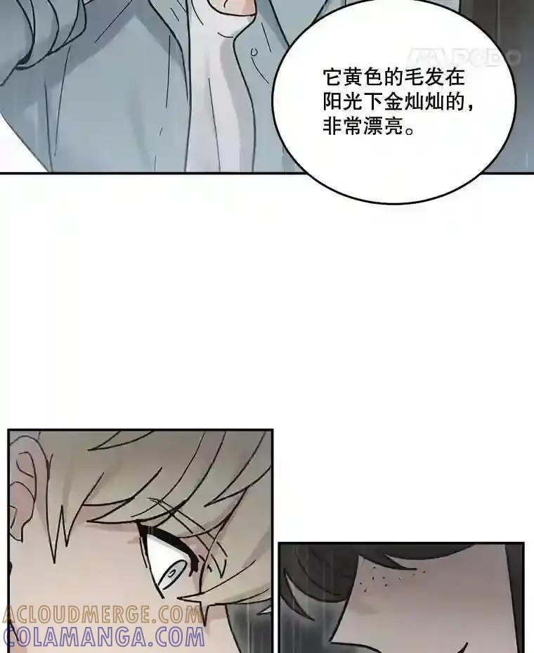 《李世界的平凡生活》48.世娜的话 第49页
