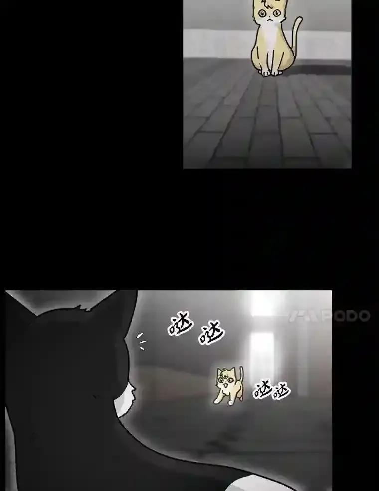 《李世界的平凡生活》49.真相 第11页