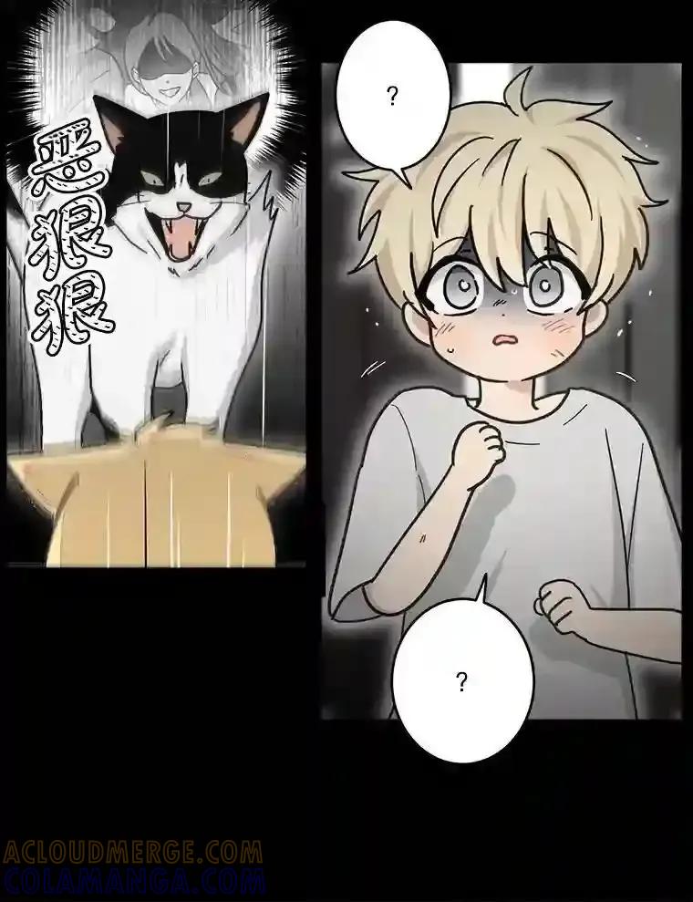 《李世界的平凡生活》49.真相 第13页