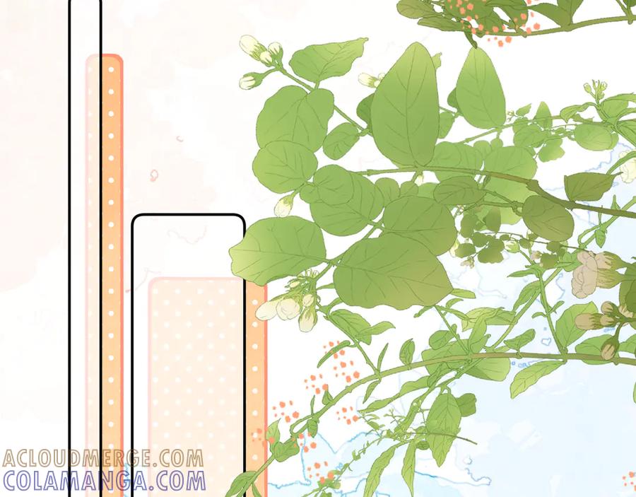 告白 第七十四集 官宣 第37页