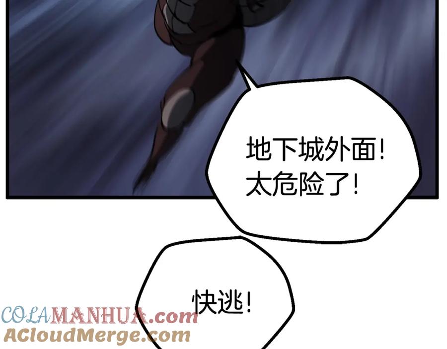 201.jpg