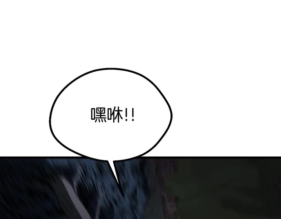 211.jpg