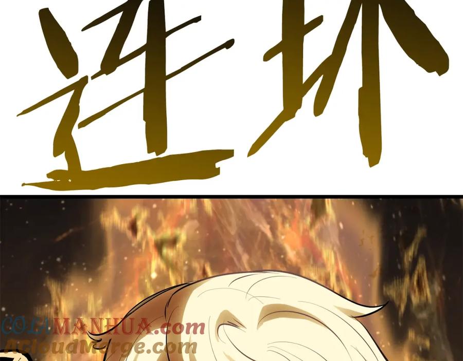 249.jpg