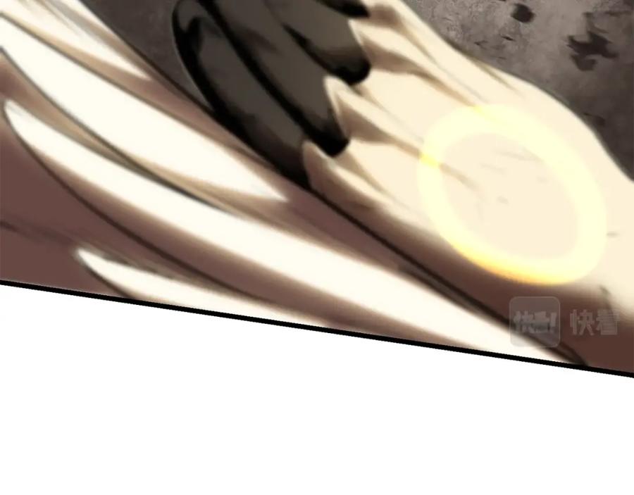 244.jpg