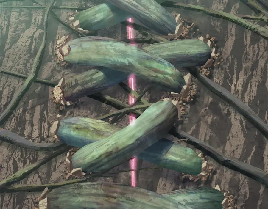 242.jpg