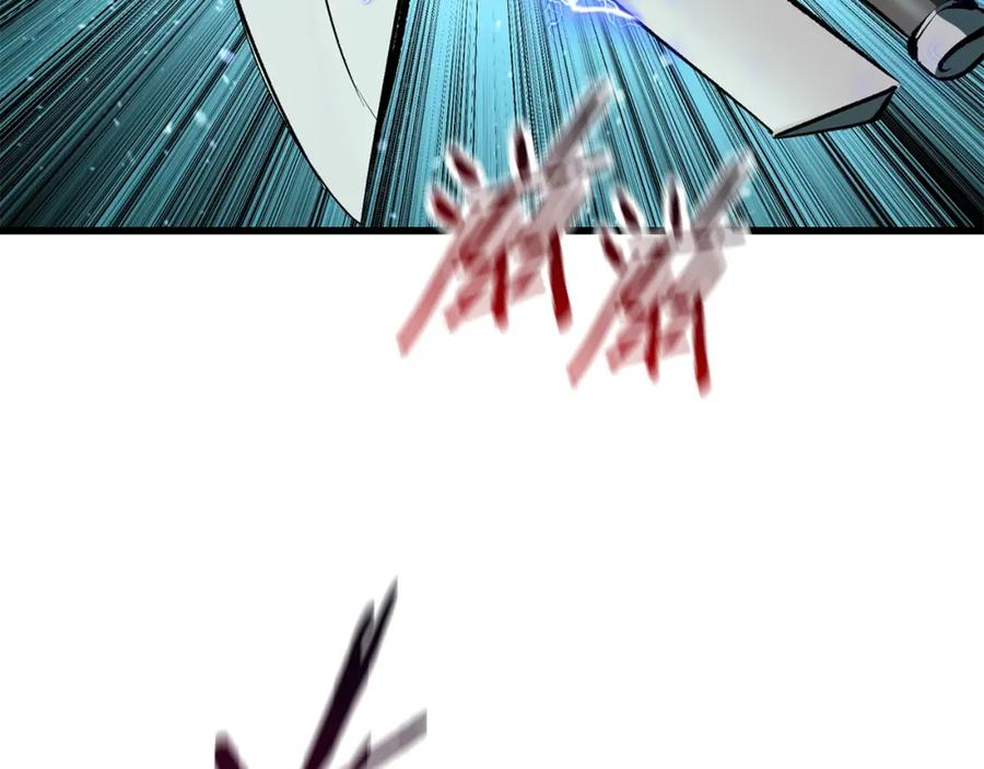 251.jpg