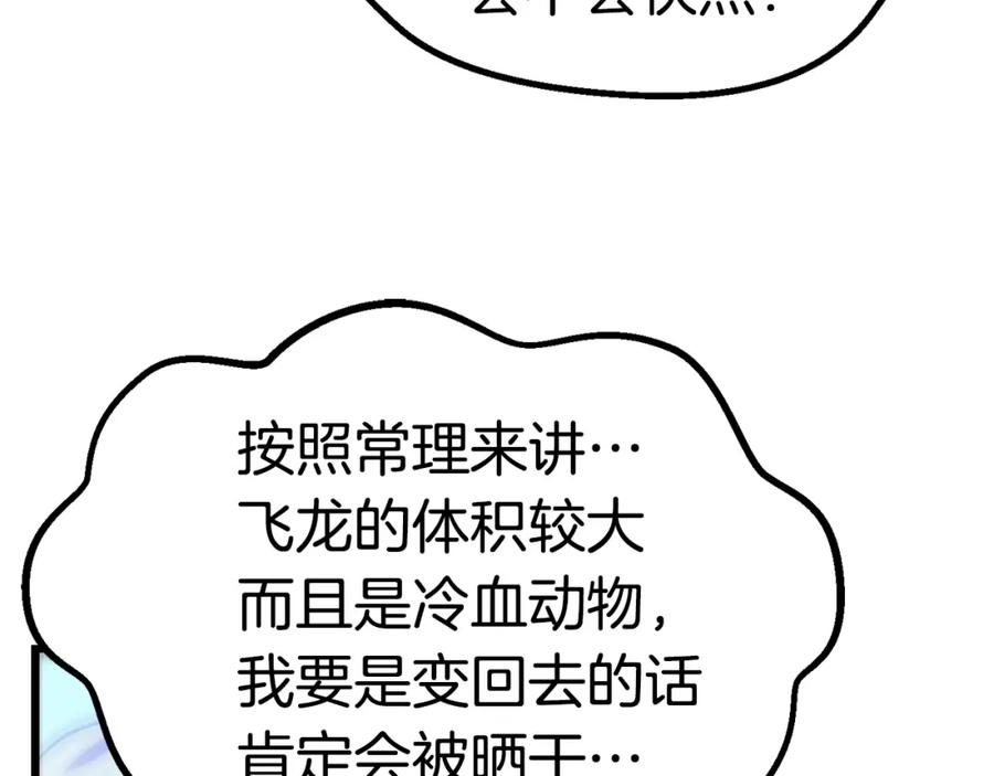 207.jpg