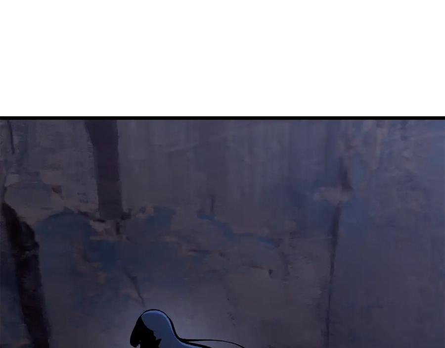 243.jpg