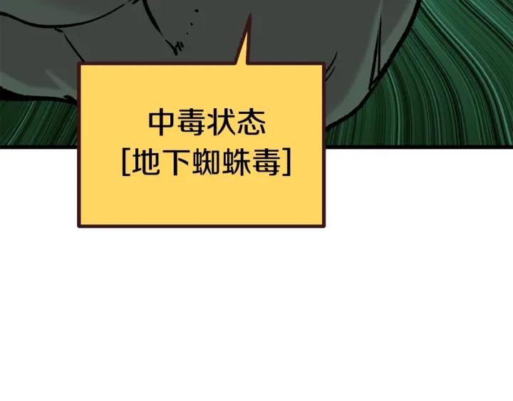 243.jpg