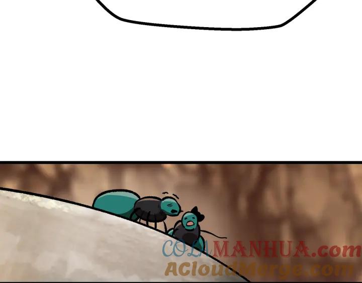 257.jpg