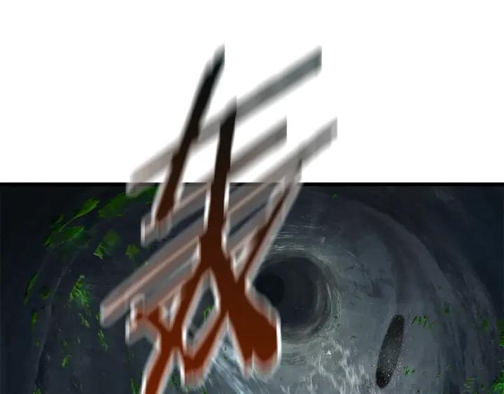 204.jpg