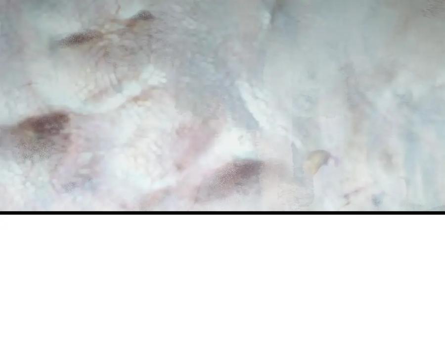 204.jpg