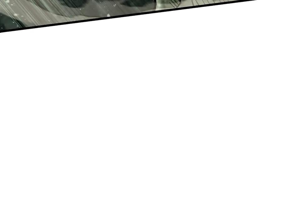 163.jpg