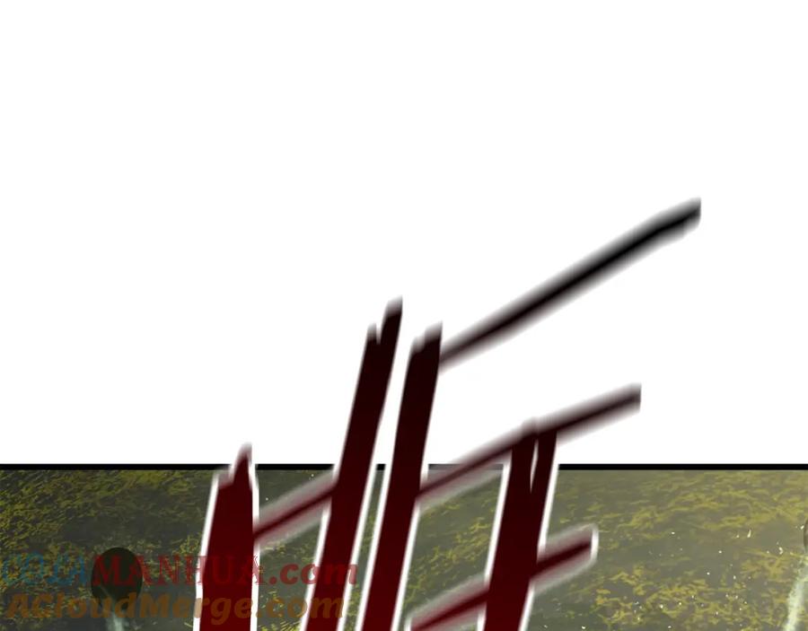 113.jpg