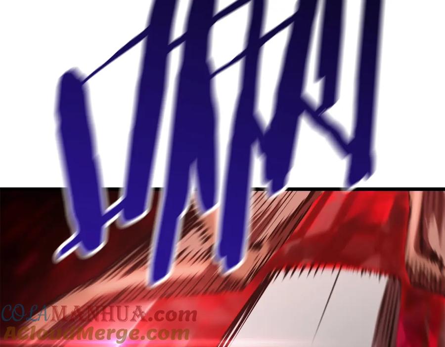 249.jpg
