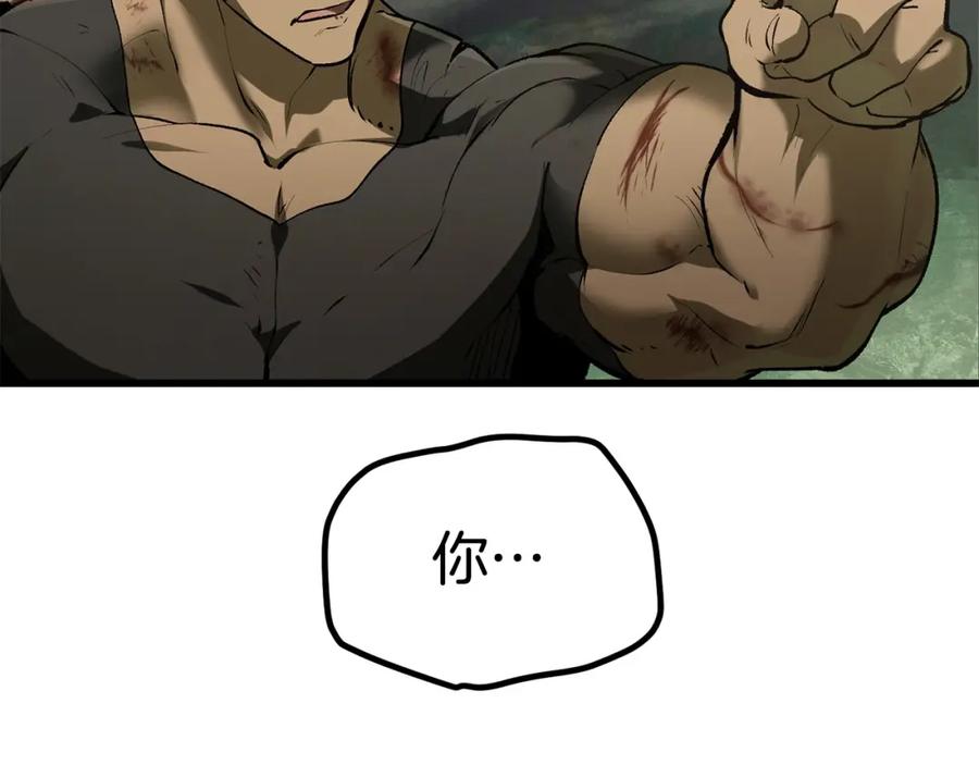 278.jpg