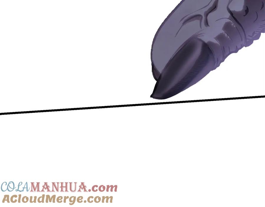 161.jpg