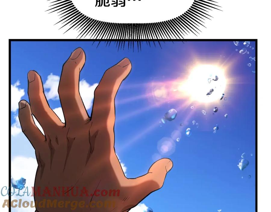 161.jpg