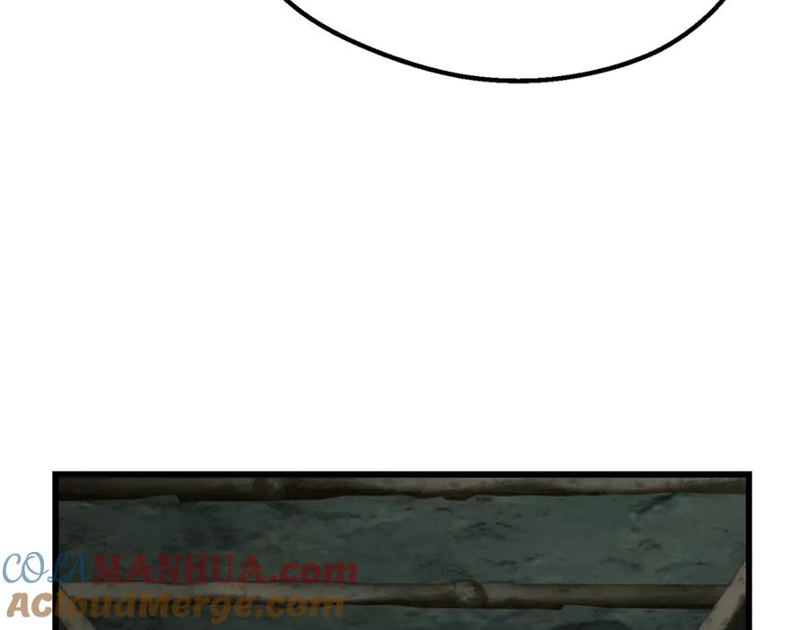 161.jpg