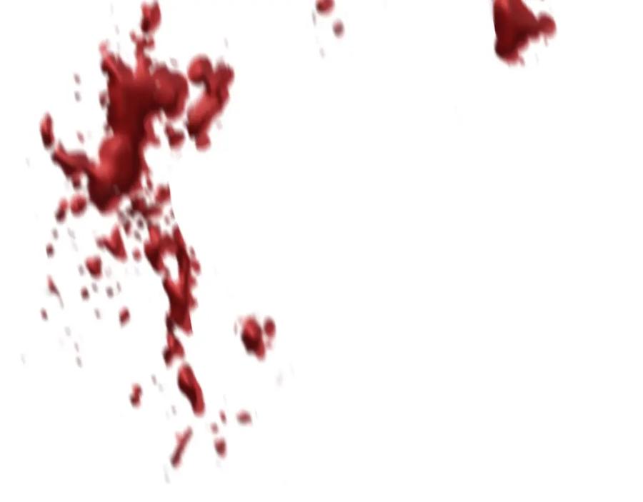 126.jpg