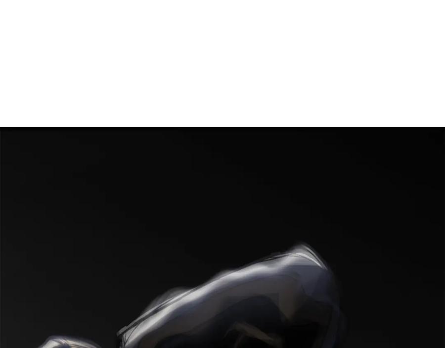 146.jpg