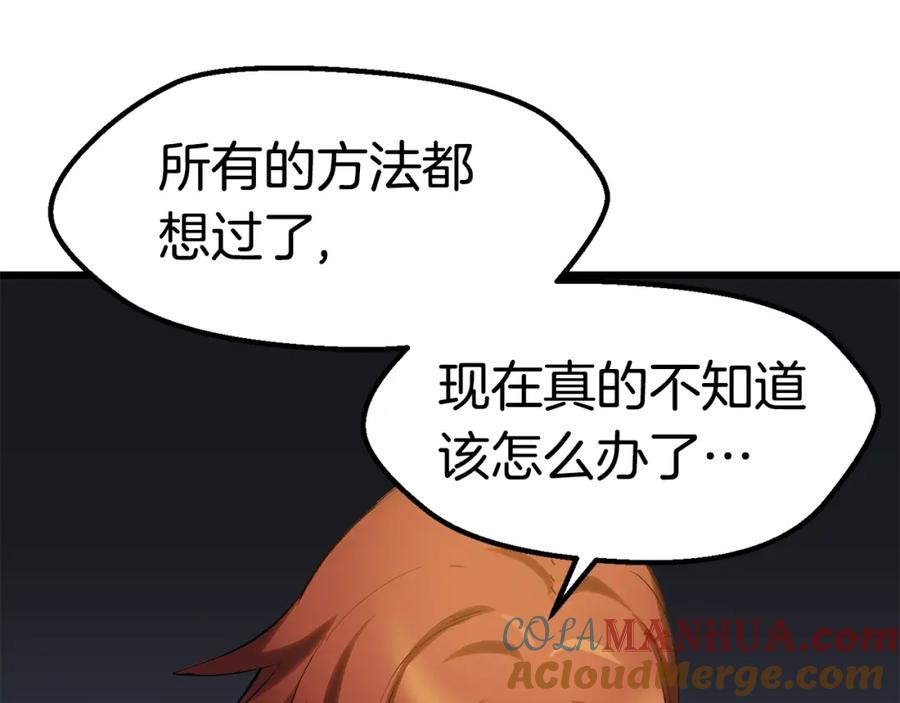 113.jpg