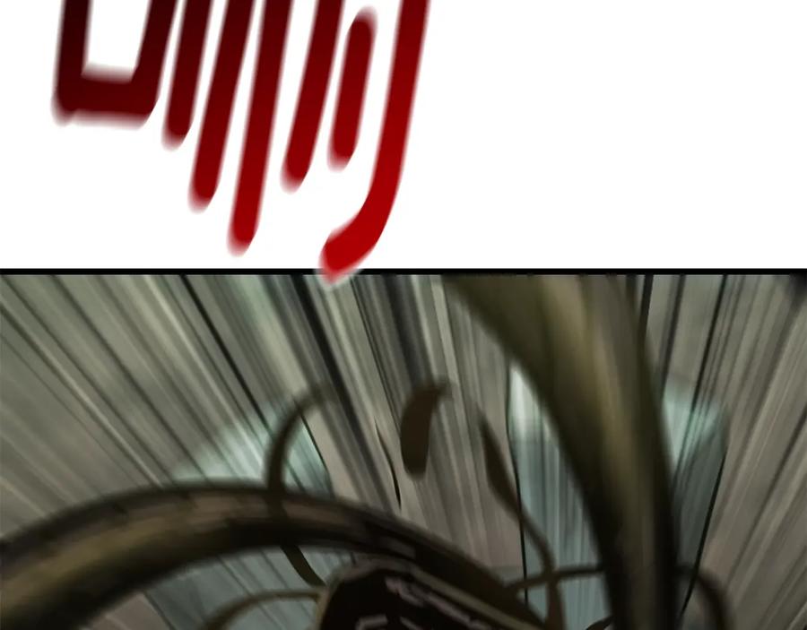 216.jpg