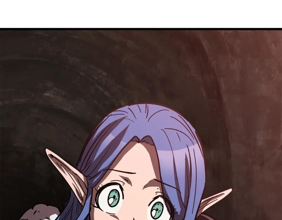 244.jpg