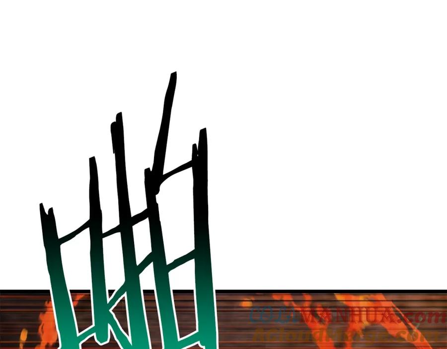 201.jpg