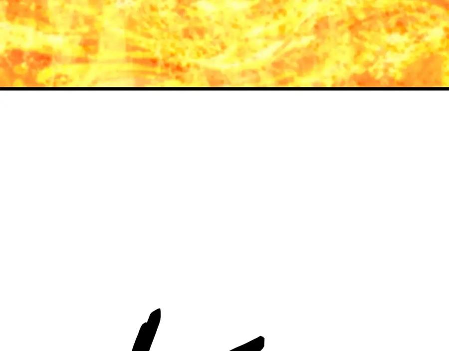 239.jpg