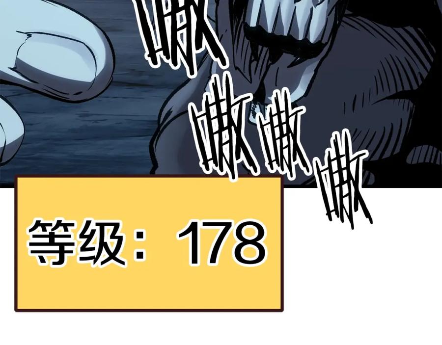 260.jpg