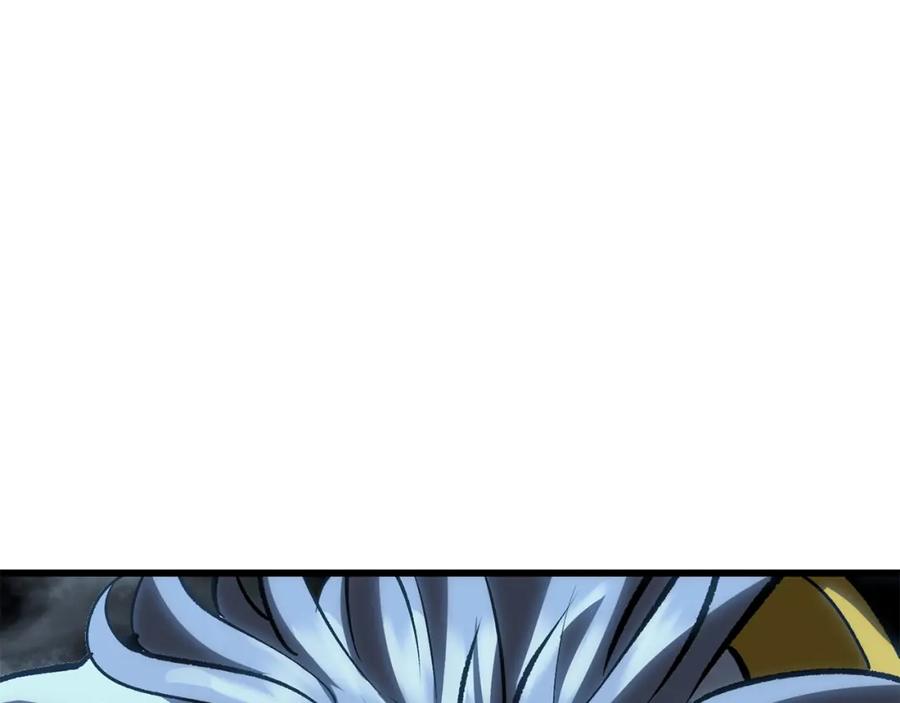 242.jpg