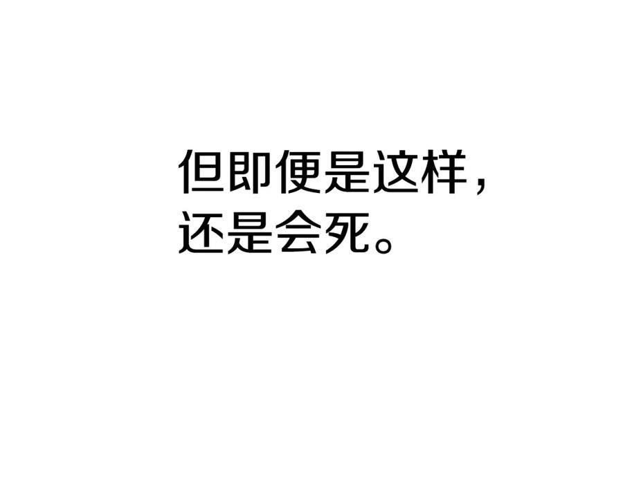 256.jpg