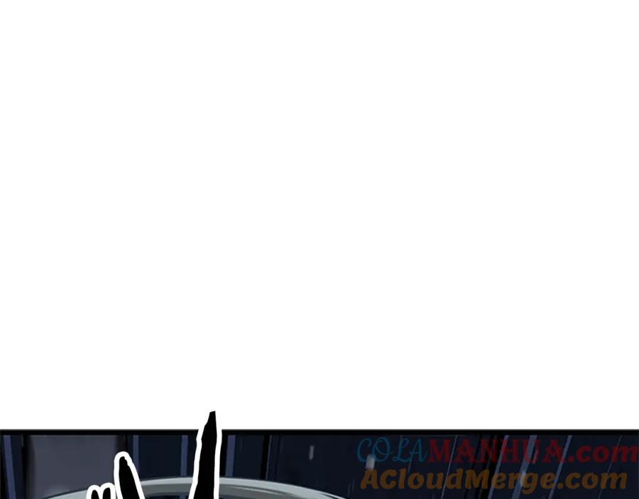 213.jpg
