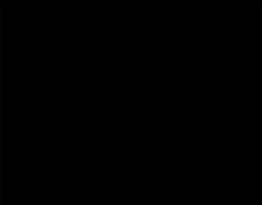 176.jpg