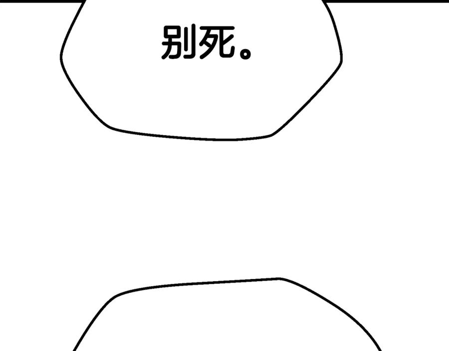 223.jpg