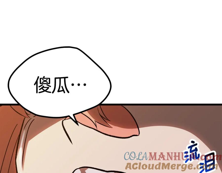 233.jpg